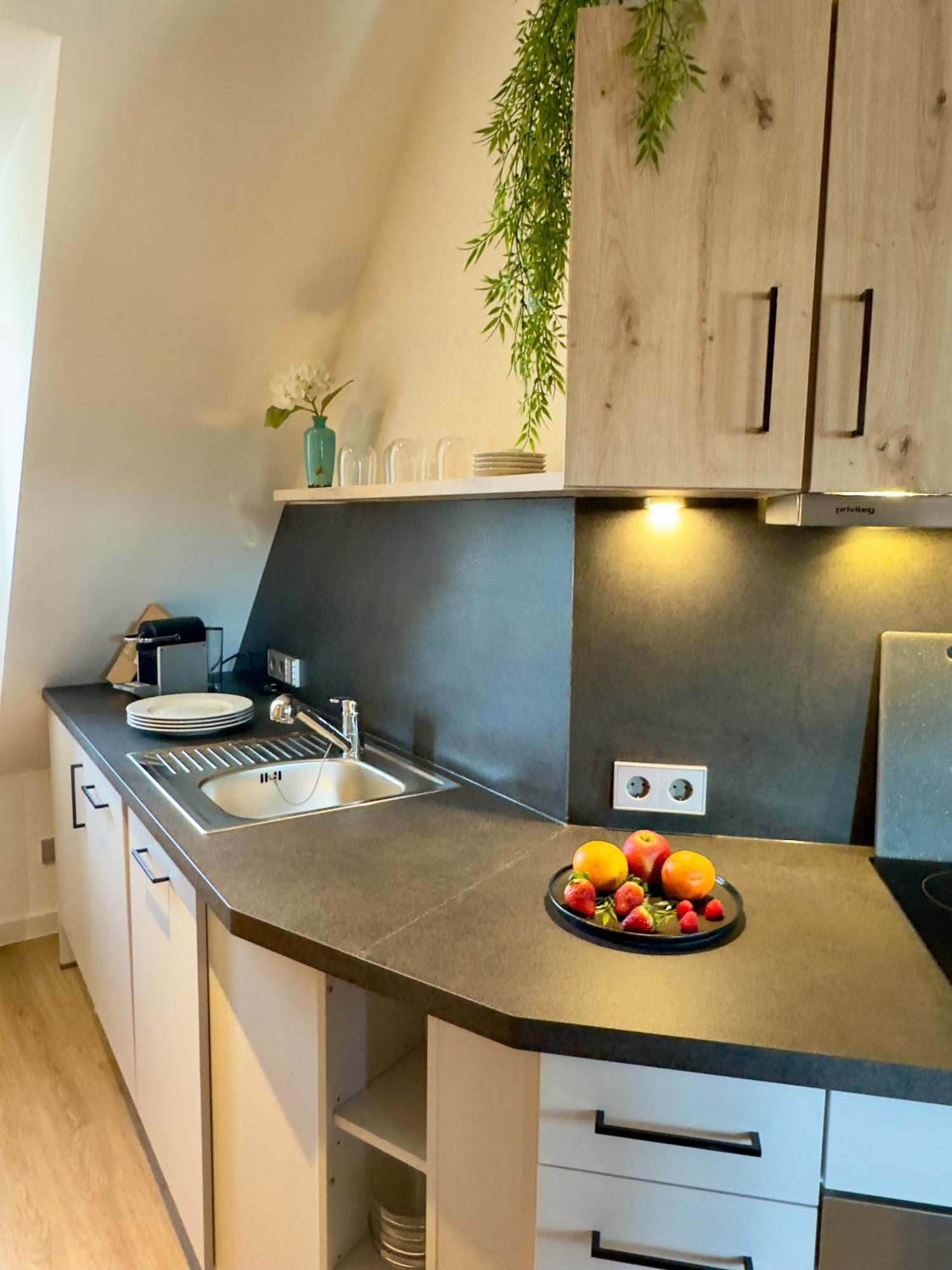 Living & Serviced Apartments By Blauer Wolf Gunzenhausen Dış mekan fotoğraf