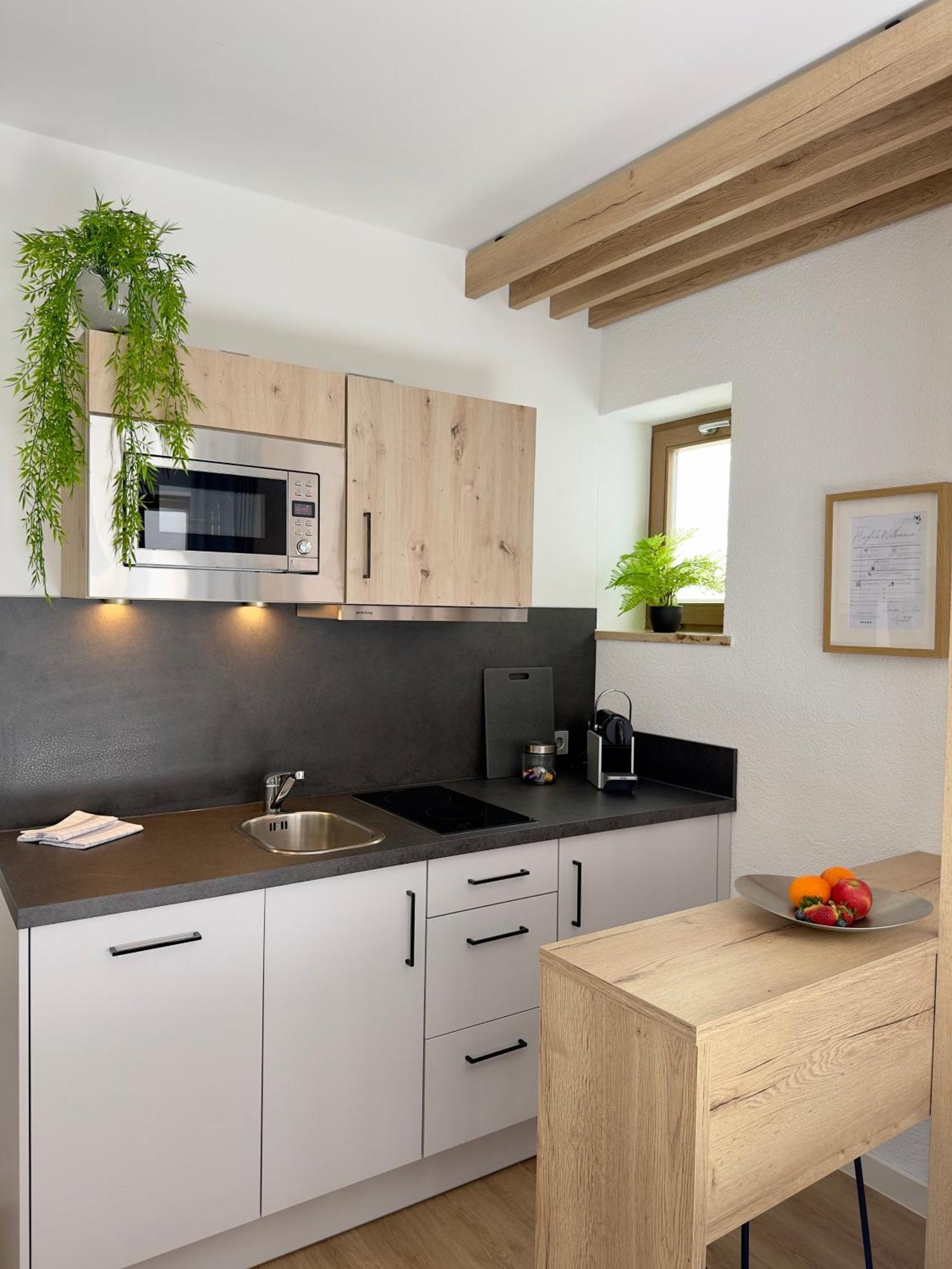 Living & Serviced Apartments By Blauer Wolf Gunzenhausen Dış mekan fotoğraf